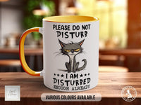 Please Do Not Disturb I AM Disturbed Enough Already Funny Mug - Sipfull of Design