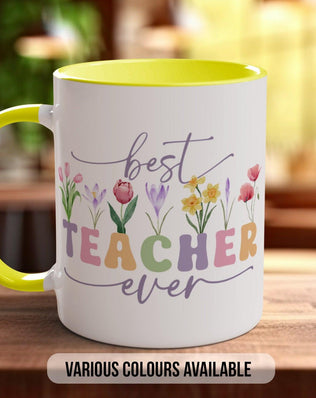Best Teacher Ever Mug - Sipfull of Design